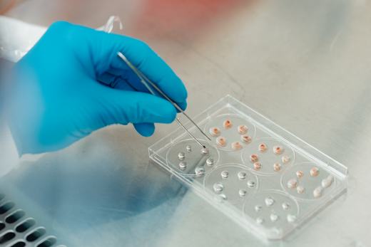 GMP manufacturing — MADE Scientific Princeton
